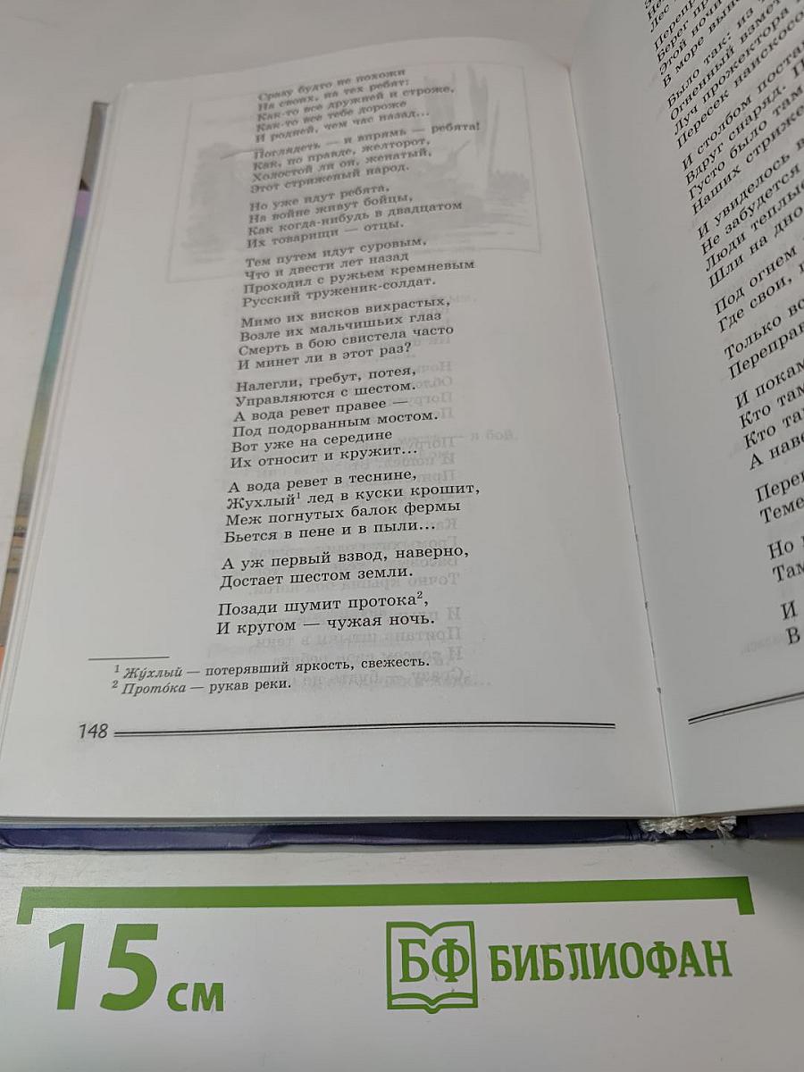 Литература. 8 класс. Часть 2