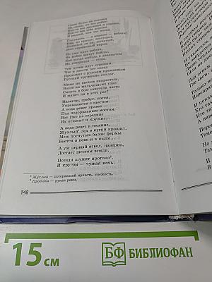 Литература. 8 класс. Часть 2