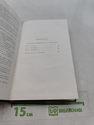Ион, или Тяжкий путь познания. Том десятый