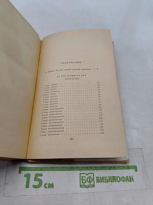 На чем держится мир. Ничья для Иисуса мгновенье. Роман-баллада. Роман