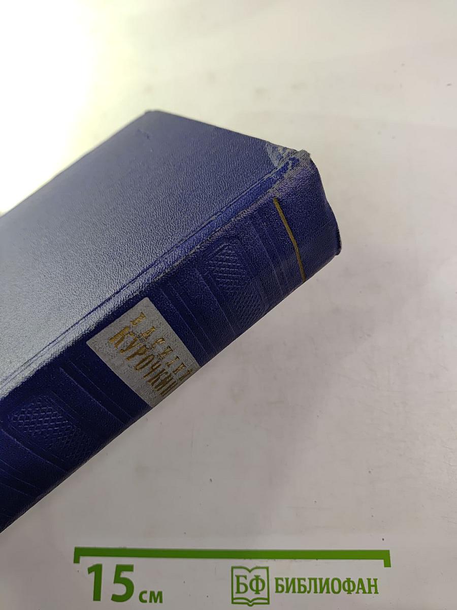 Василий Курочкин. Стихотворения. Статьи. Фельетоны