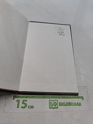 Черты сходства