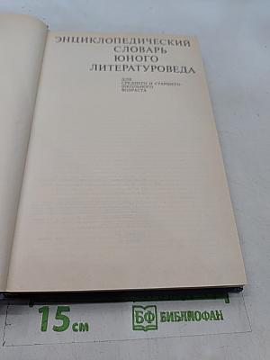 Энциклопедический словарь юного литературоведа