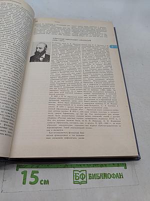 Энциклопедический словарь юного литературоведа