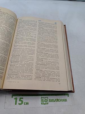 Словарь иностранных слов