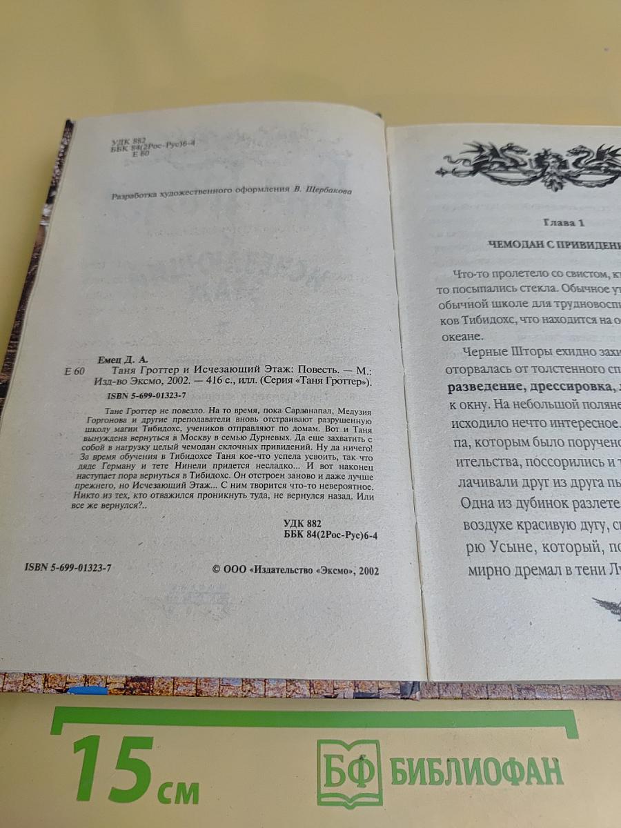Таня Гроттер и исчезающий этаж