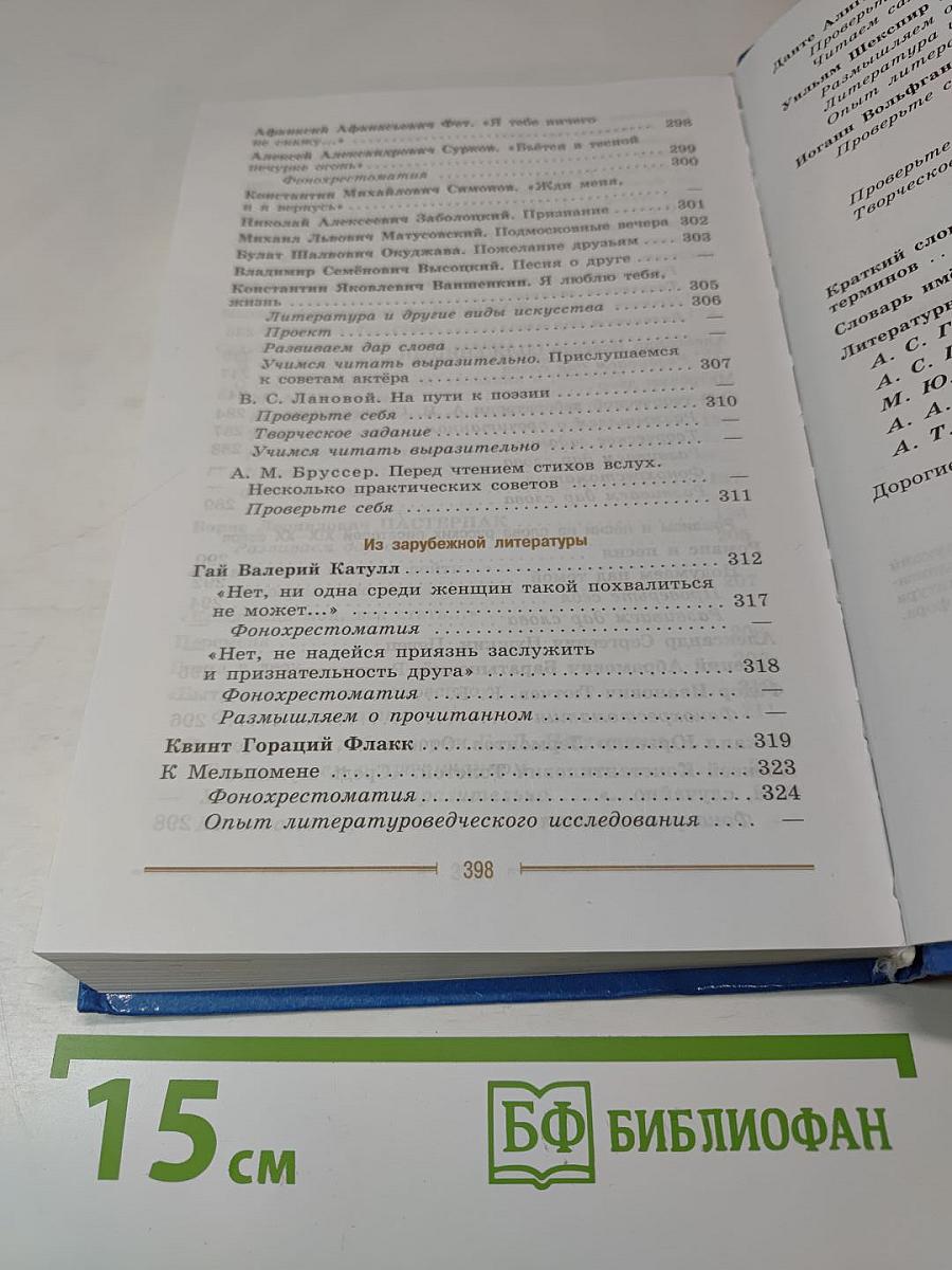 Литература. 9 класс. Часть 2