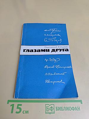 Глазами друга