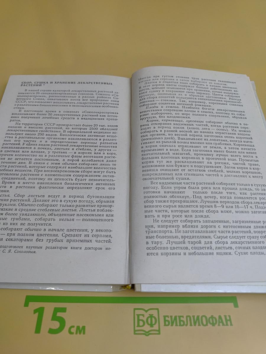 Лекарственные свойства сельскохозяйственных растений