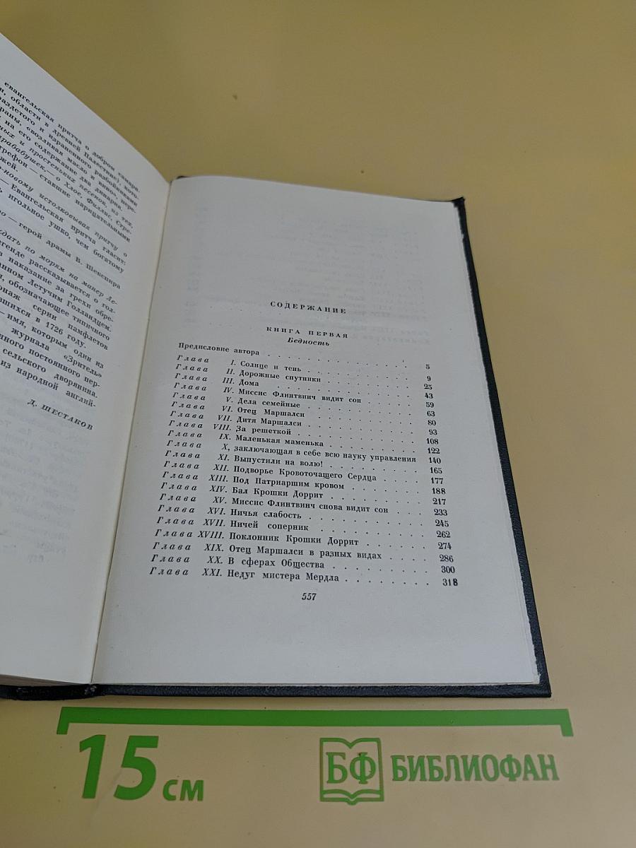 Собрание сочинений в тридцати томах. Том двадцатый. Крошка Доррит. Роман. Книга первая