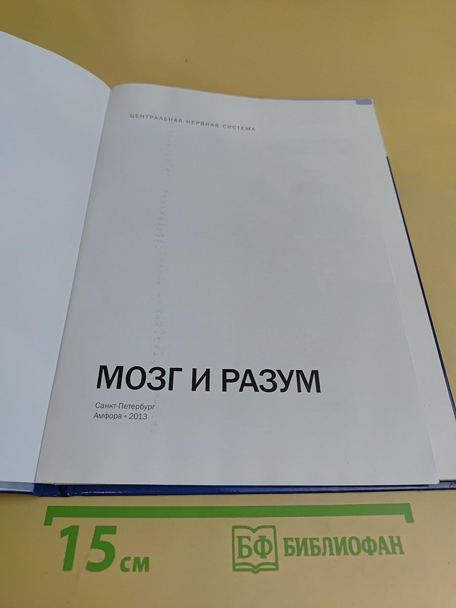Мозг и разум. Центральная нервная система