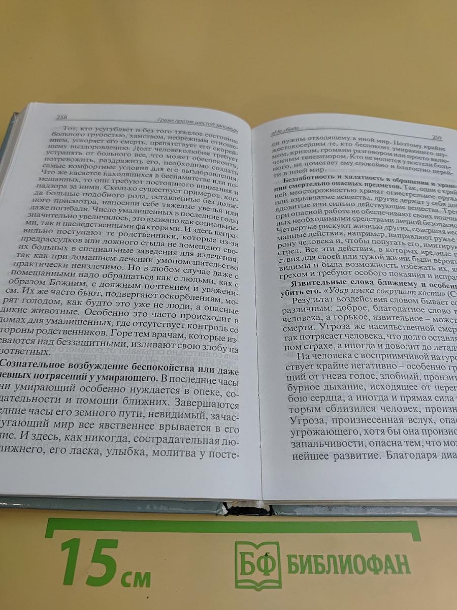 Исповедаю грех, батюшка