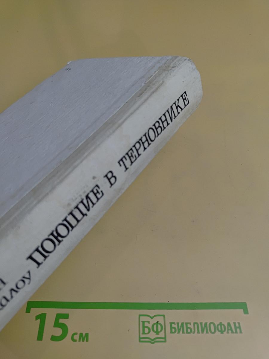 Поющие в терновнике