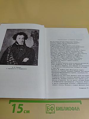 Дополнение к портретам