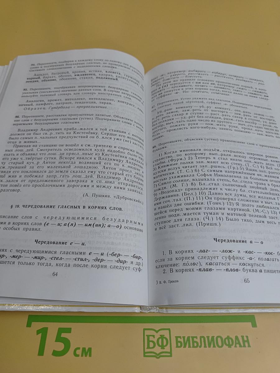 Пособие для занятий по русскому языку в старших классах