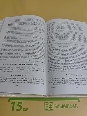 Пособие для занятий по русскому языку в старших классах