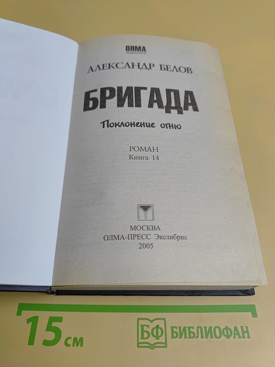 Бригада. Поклонение огню. Книга 14