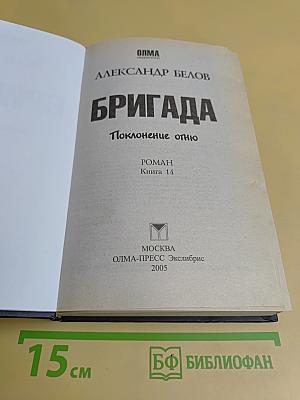 Бригада. Поклонение огню. Книга 14