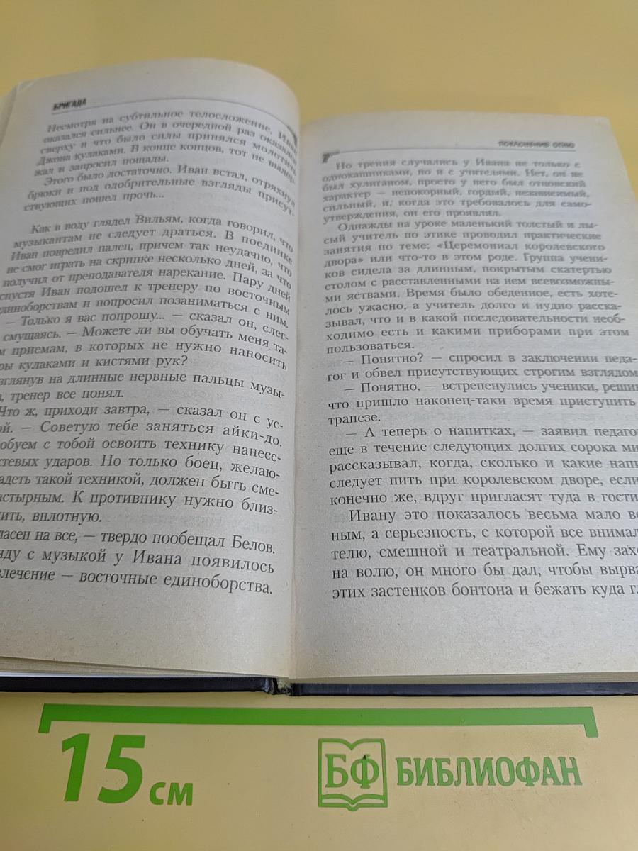 Бригада. Поклонение огню. Книга 14