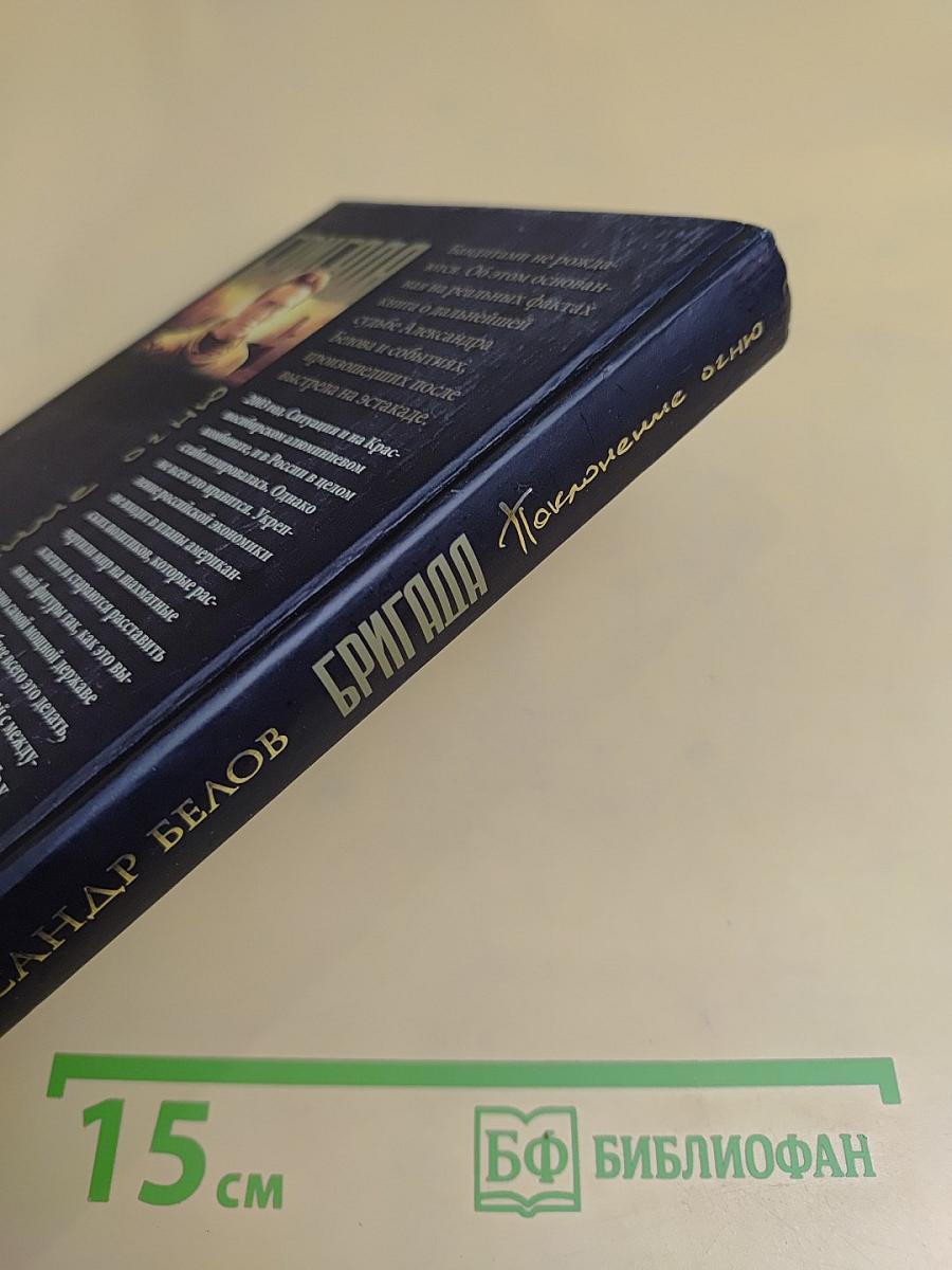 Бригада. Поклонение огню. Книга 14