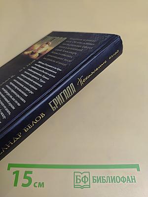 Бригада. Поклонение огню. Книга 14