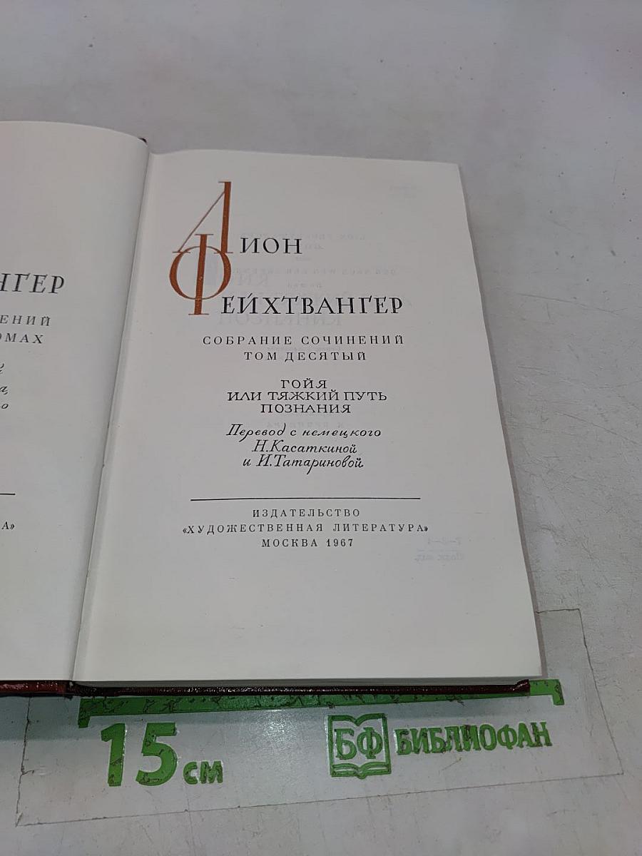 Гойя, или Тяжкий путь познания. Том десятый