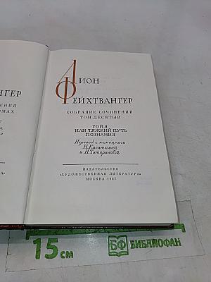 Гойя, или Тяжкий путь познания. Том десятый