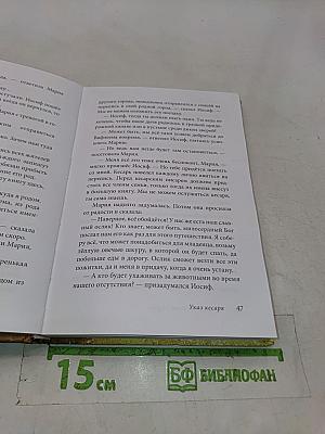 Маленький ослик Марии. Бегство в Египет