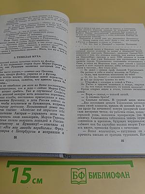Фаворит. Роман-хроника времен Екатерины II. В двух томах. Том II