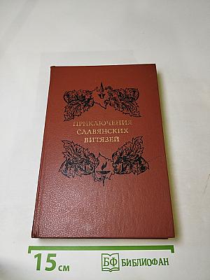Приключения славянских витязей