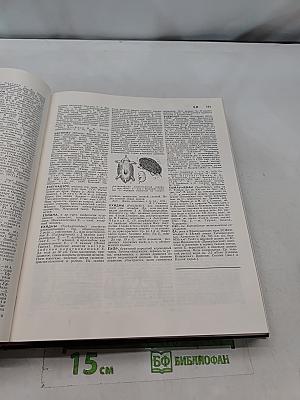 Большая Советская Энциклопедия. Том 9