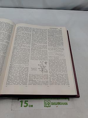 Большая Советская Энциклопедия. Том 12. Кварнер — Контур