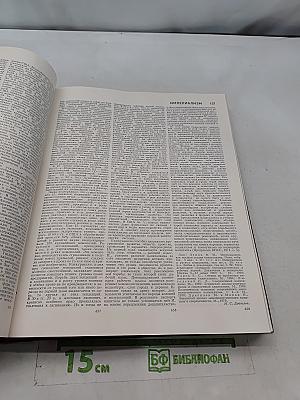 Большая Советская Энциклопедия. Том 10. Ива — Итальянцы