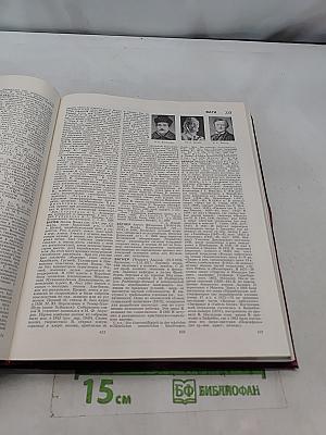 Большая Советская Энциклопедия. Том 4. Брасос — Веш