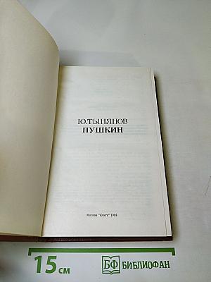 Пушкин