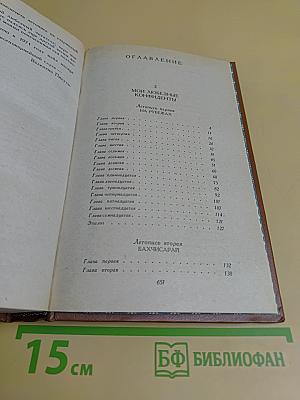 Слово и дело. Роман-хроника времён Анны Иоанновны. В двух книгах. Книга 2. Мои любезные конфиденты