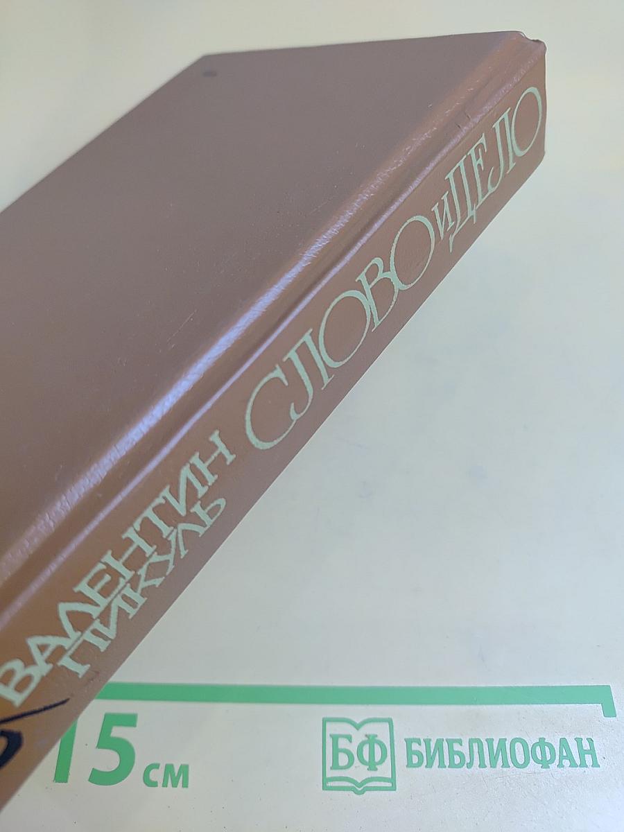 Слово и дело. Роман-хроника времён Анны Иоанновны. В двух книгах. Книга 2. Мои любезные конфиденты