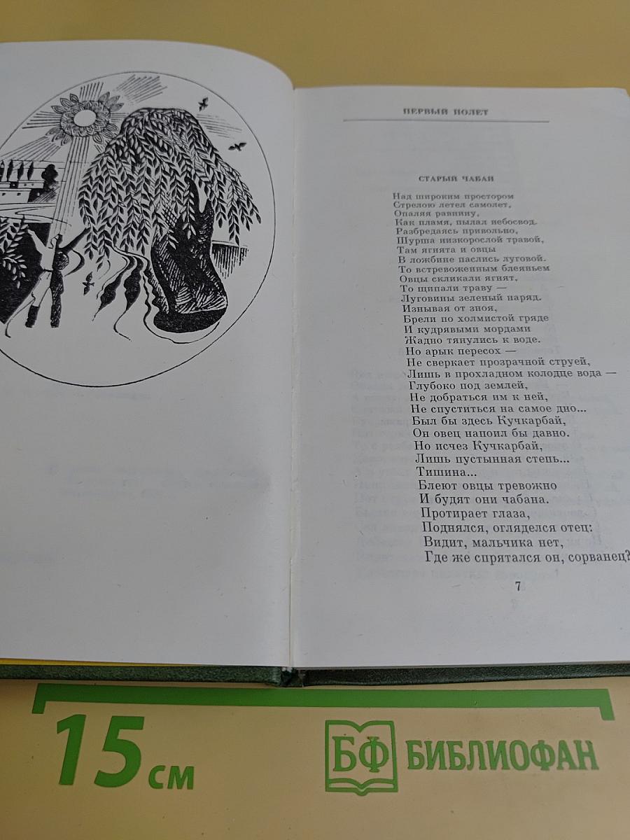 Избранное. В двух томах. Том второй. Поэмы. Пьесы. Литературная публицистика