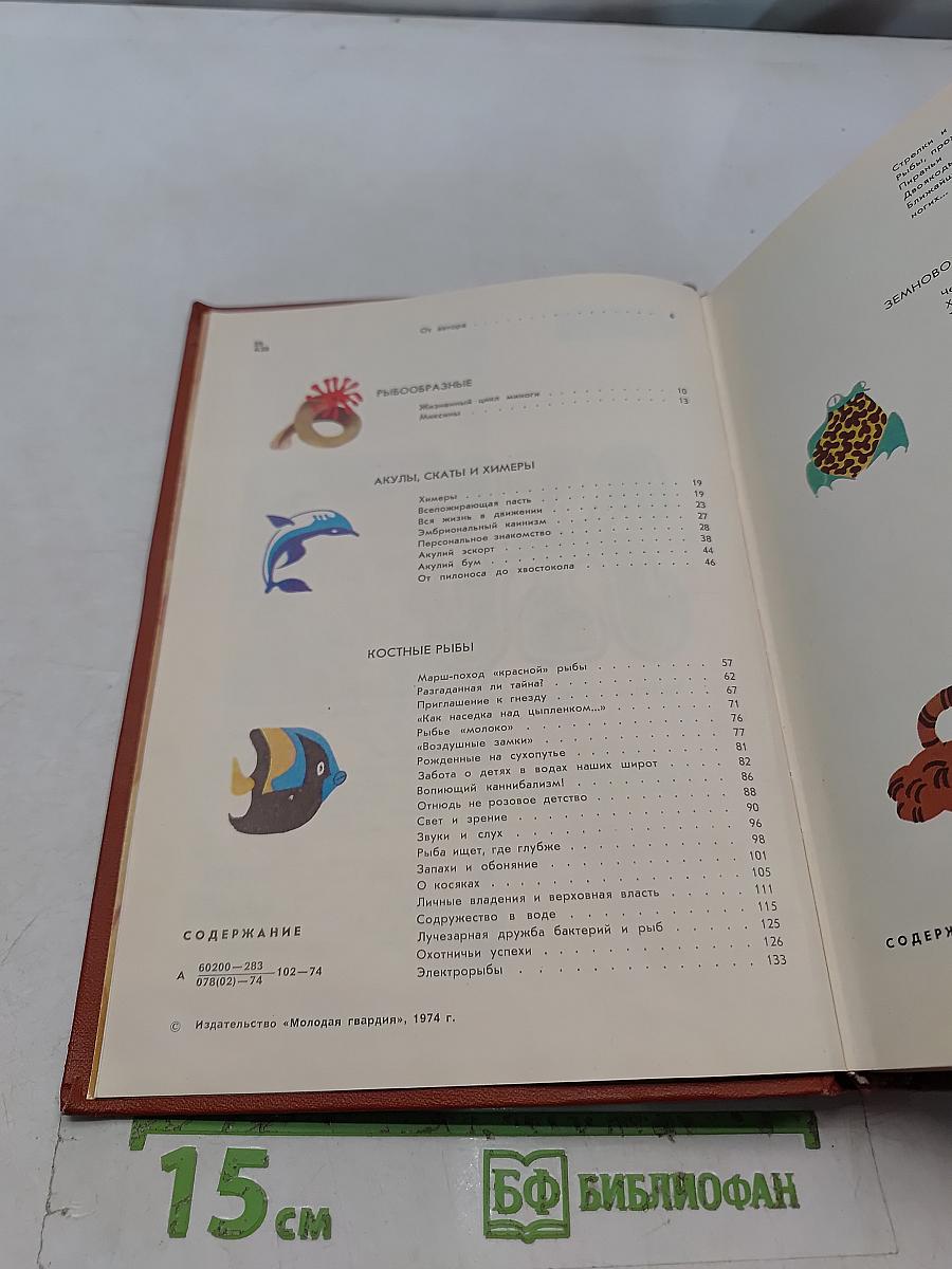 Мир животных