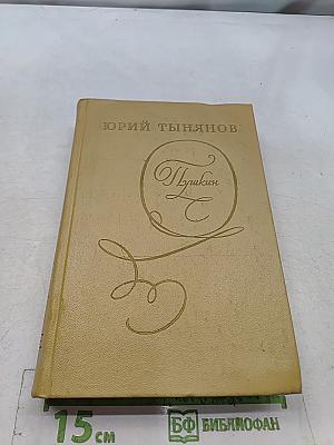 Пушкин