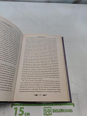 Калиостро. Великий маг или великий грешник