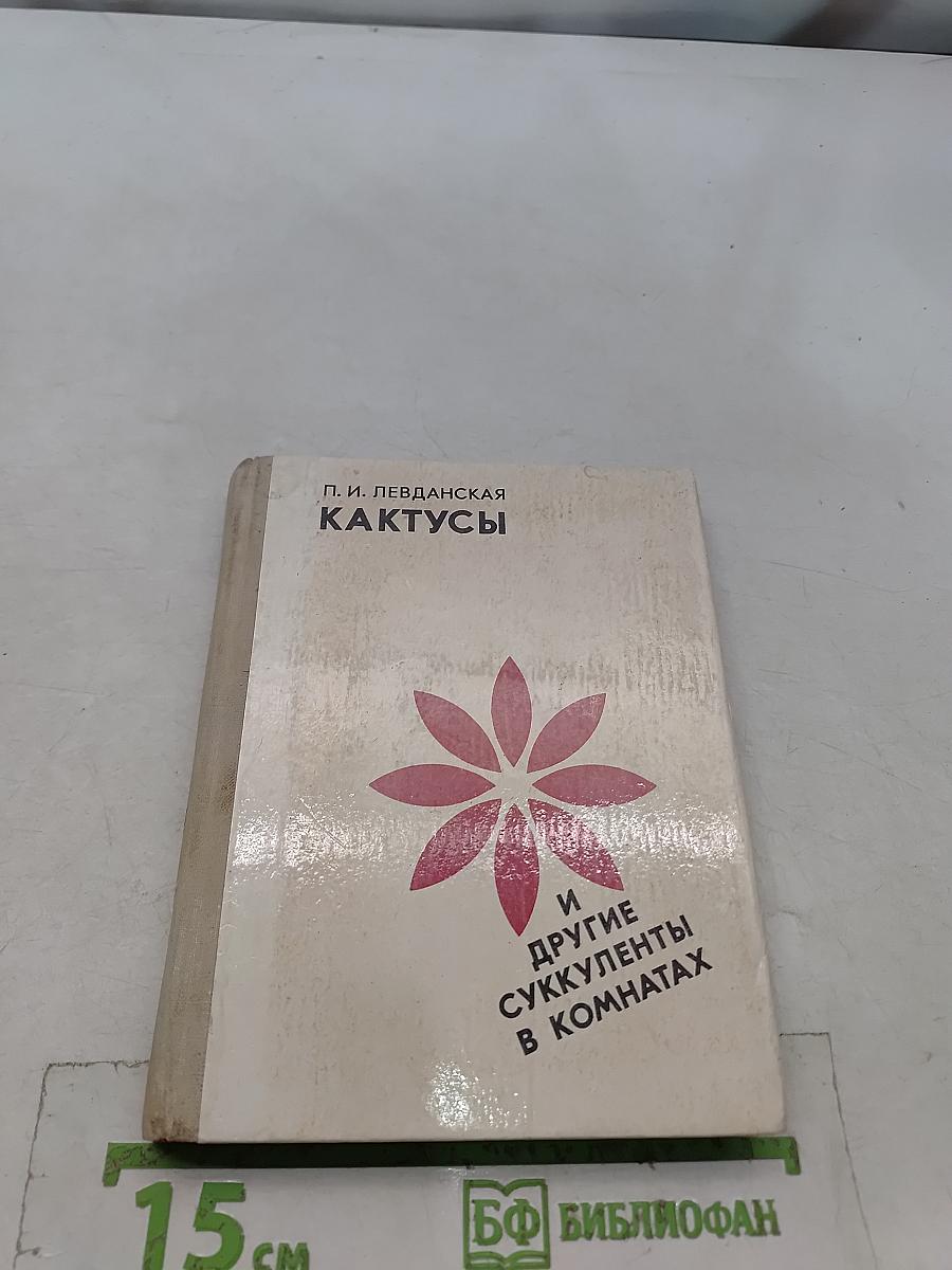 Кактусы и другие суккуленты в комнатах