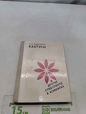 Кактусы и другие суккуленты в комнатах