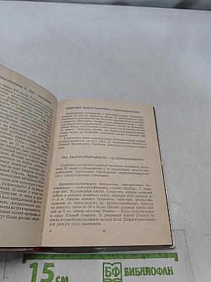 Кактусы и другие суккуленты в комнатах