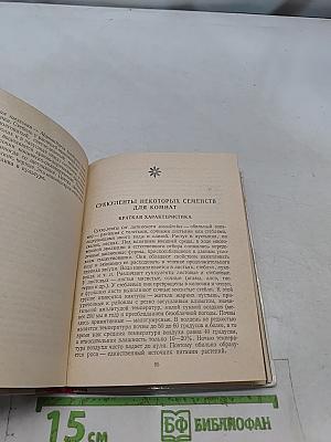 Кактусы и другие суккуленты в комнатах
