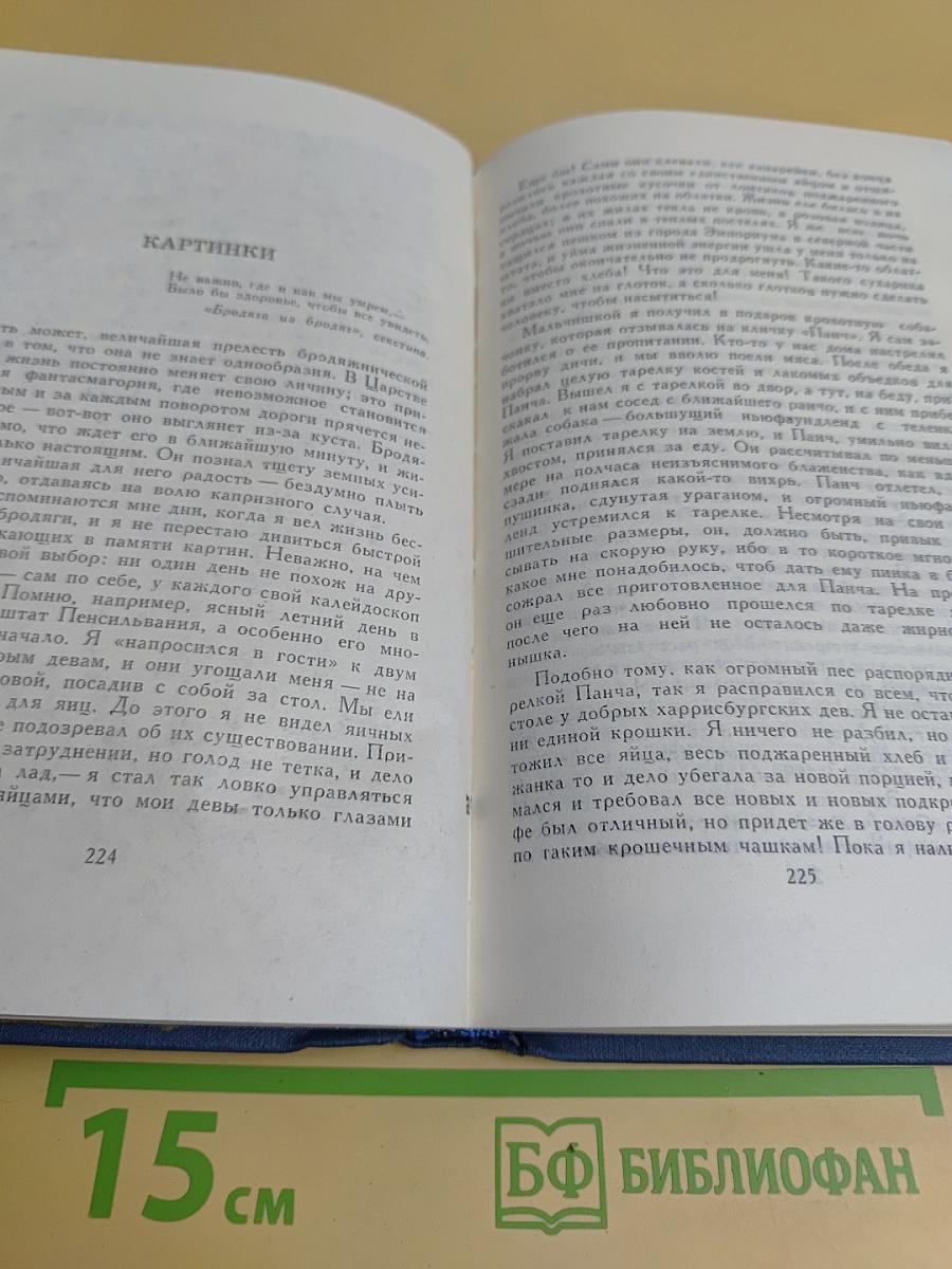 Собрание сочинений в тринадцати томах. Том 5