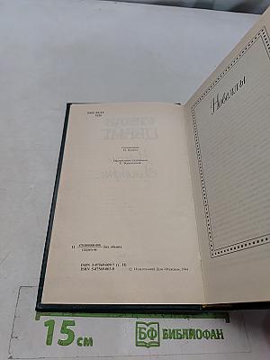 Новеллы. Эссе, очерки. Том II