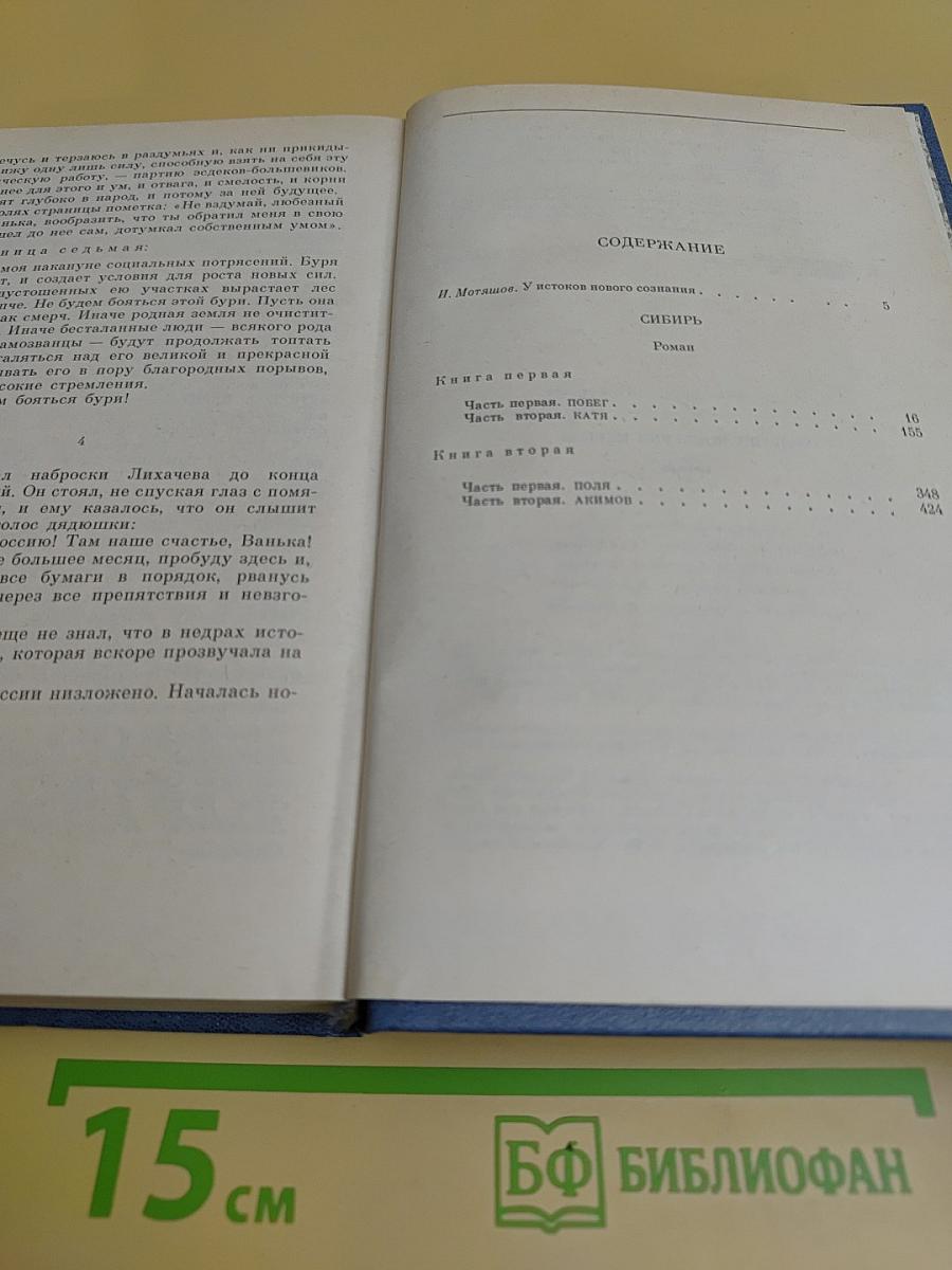 Сибирь. Роман в двух книгах