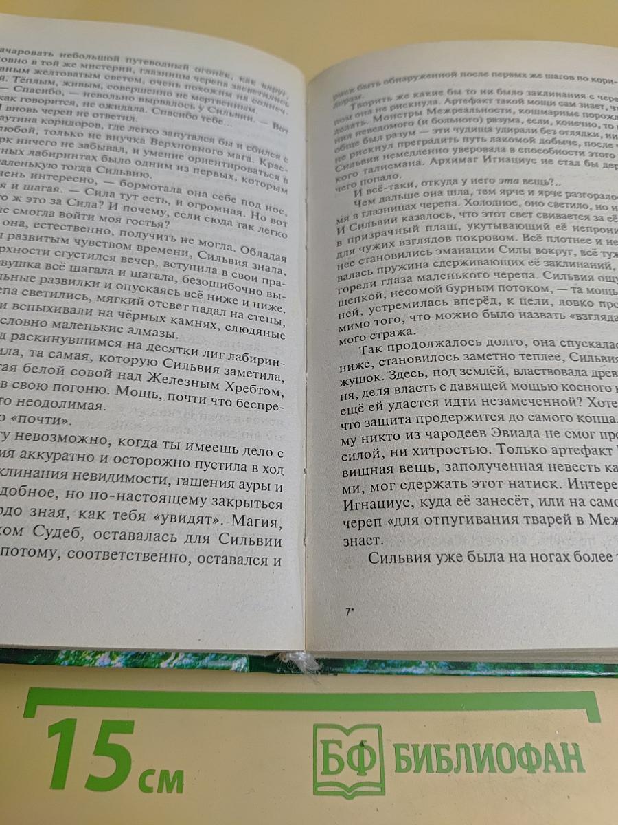 Одиночество мага. Том 2. Книга 3. Хранитель мечей