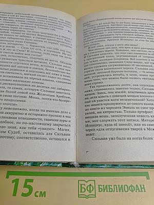 Одиночество мага. Том 2. Книга 3. Хранитель мечей